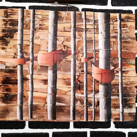 Prázdninový dům Family Vacation