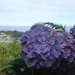Family Vacations - Azores Ponta Delgada