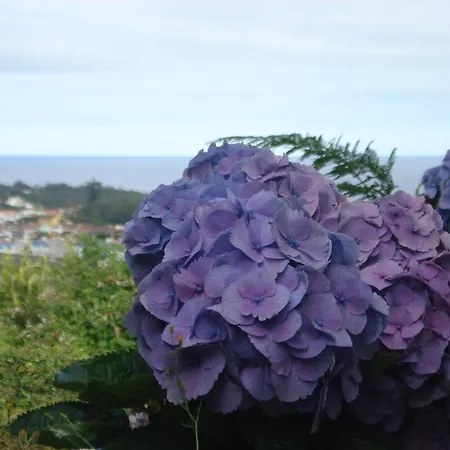 Family Vacations - Azores Ponta Delgada