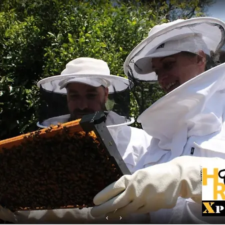 Holiday home Family Holiday Vacation Ponta Delgada Ponta Delgada (Sao Miguel)