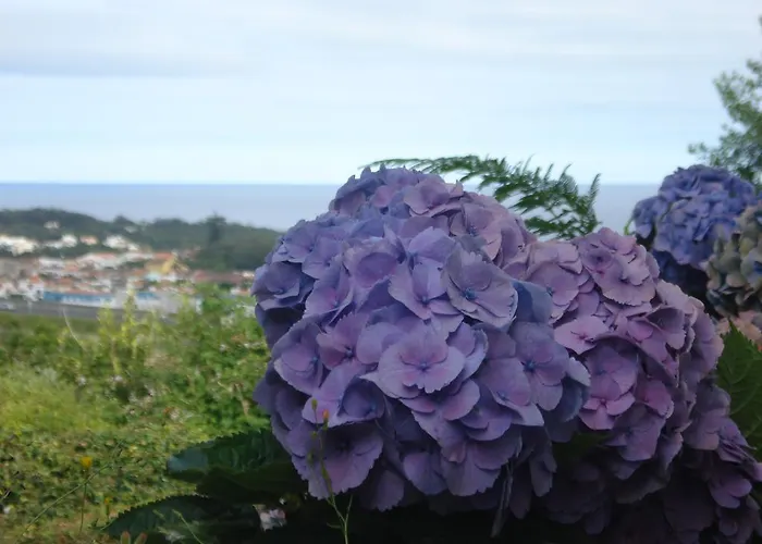 Family Holiday Villa Vacations - Ponta Delgada Azores Rentals Ponta Delgada