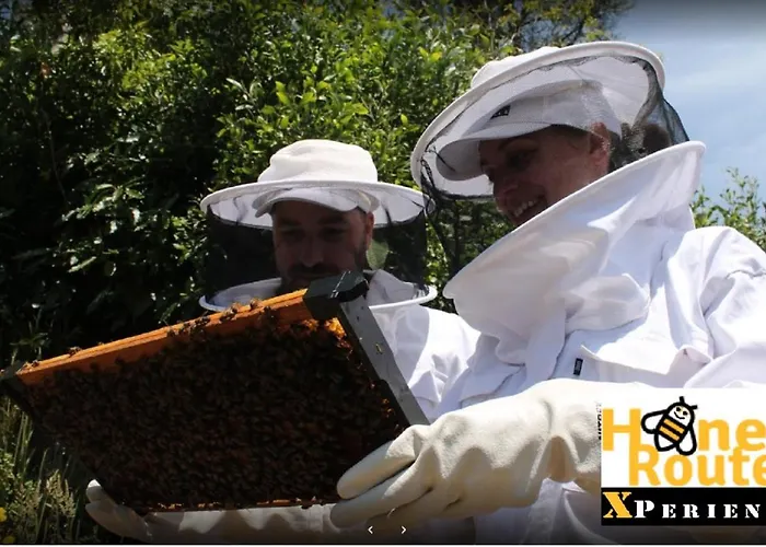 Feriehus Family Holiday Villa Vacations - Ponta Delgada Azores Rentals Ponta Delgada