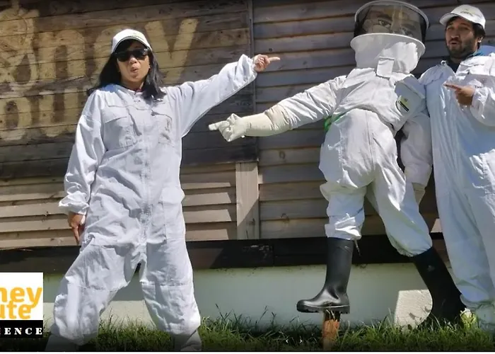 Family Holiday Villa Vacations - Ponta Delgada Azores Rentals Feriehus